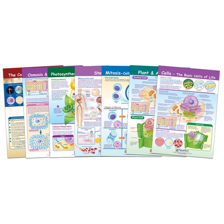 Newpath Learning Cells Bulletin Board Chart Set, Grades 3-5 94-7001